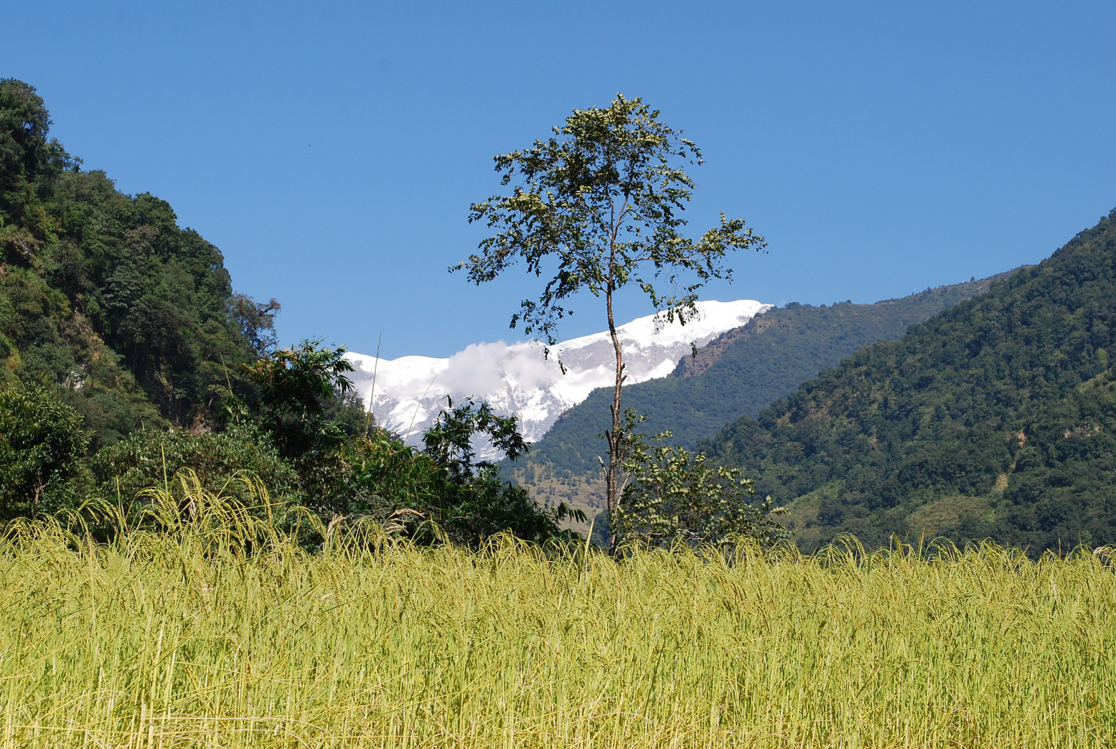 nepal - lamjung himal 2012 - Lankhorst (16) kopie_20190429140353189